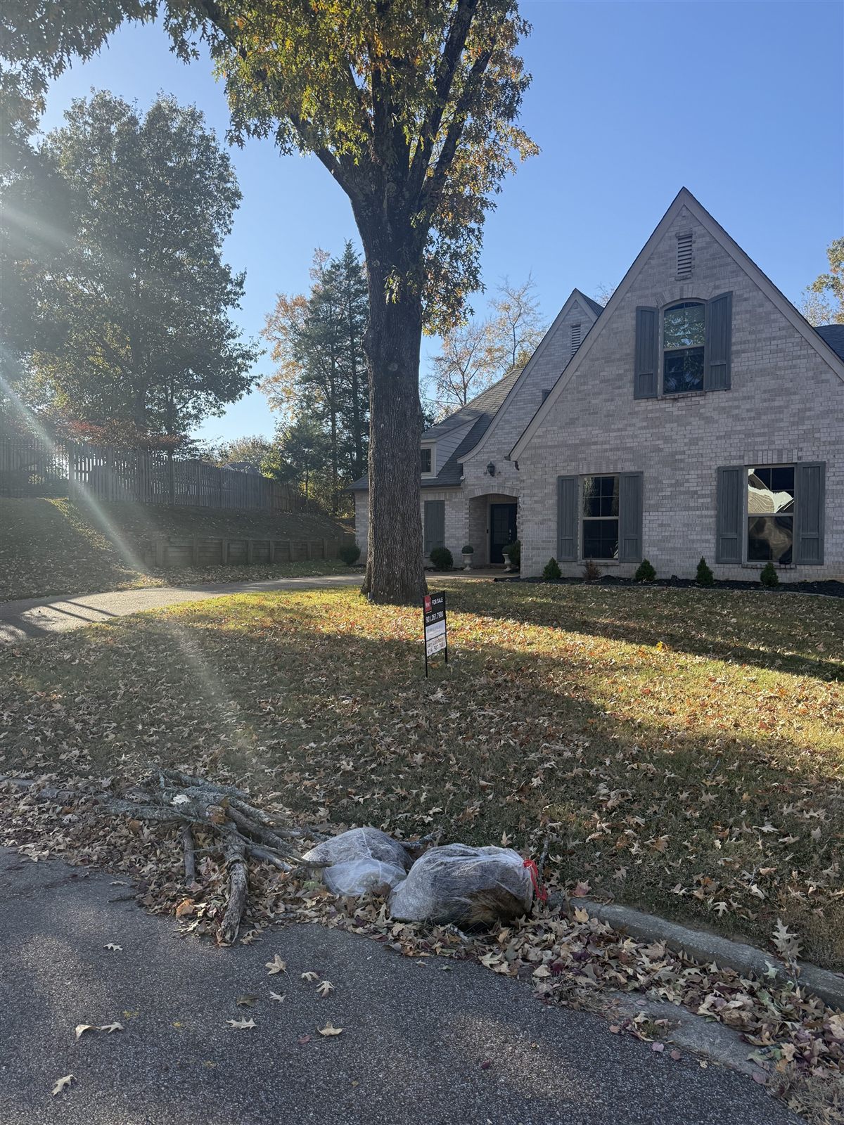 Before: Memphis property maintenance service