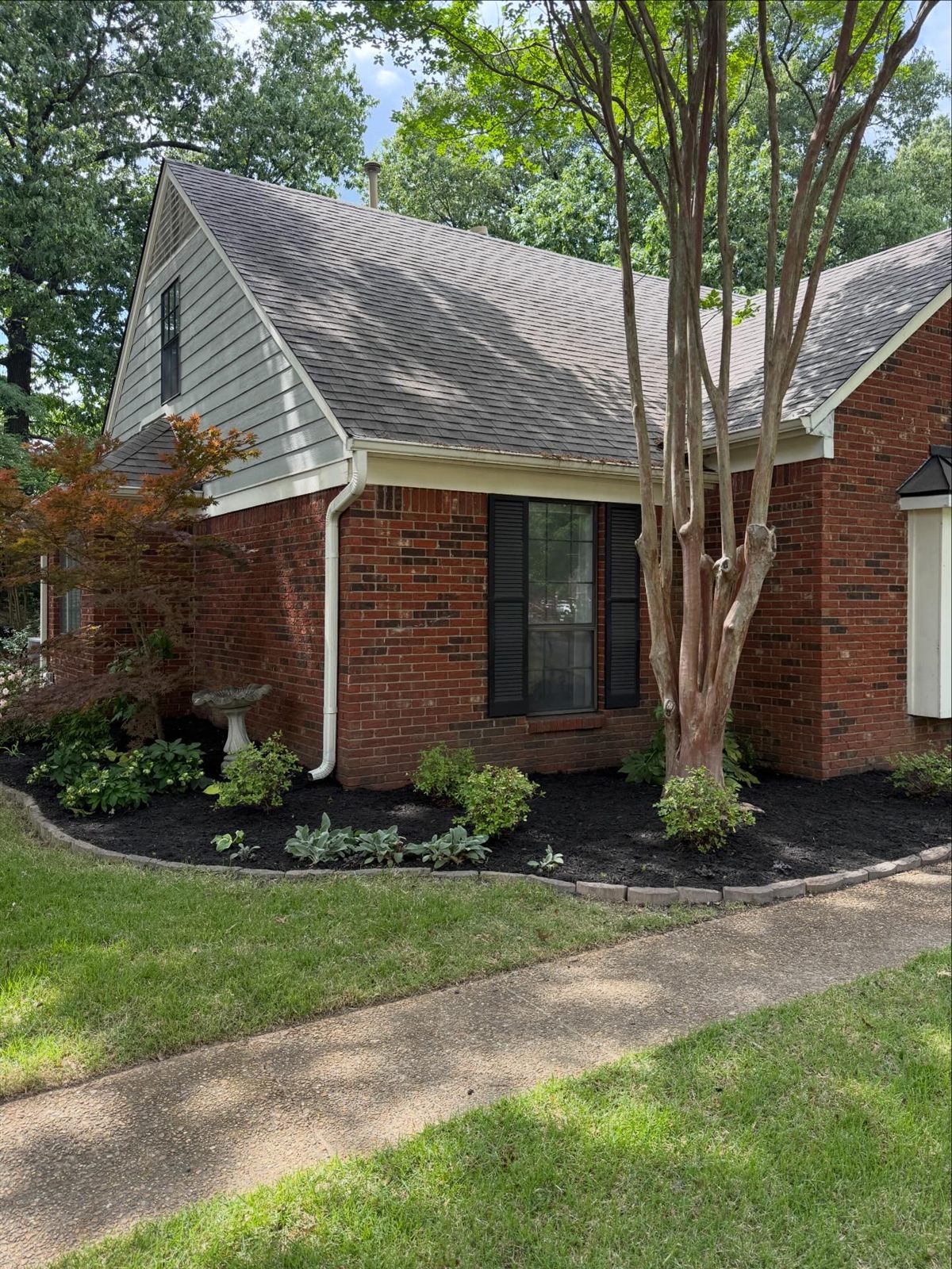 After: Memphis residential lawn service results