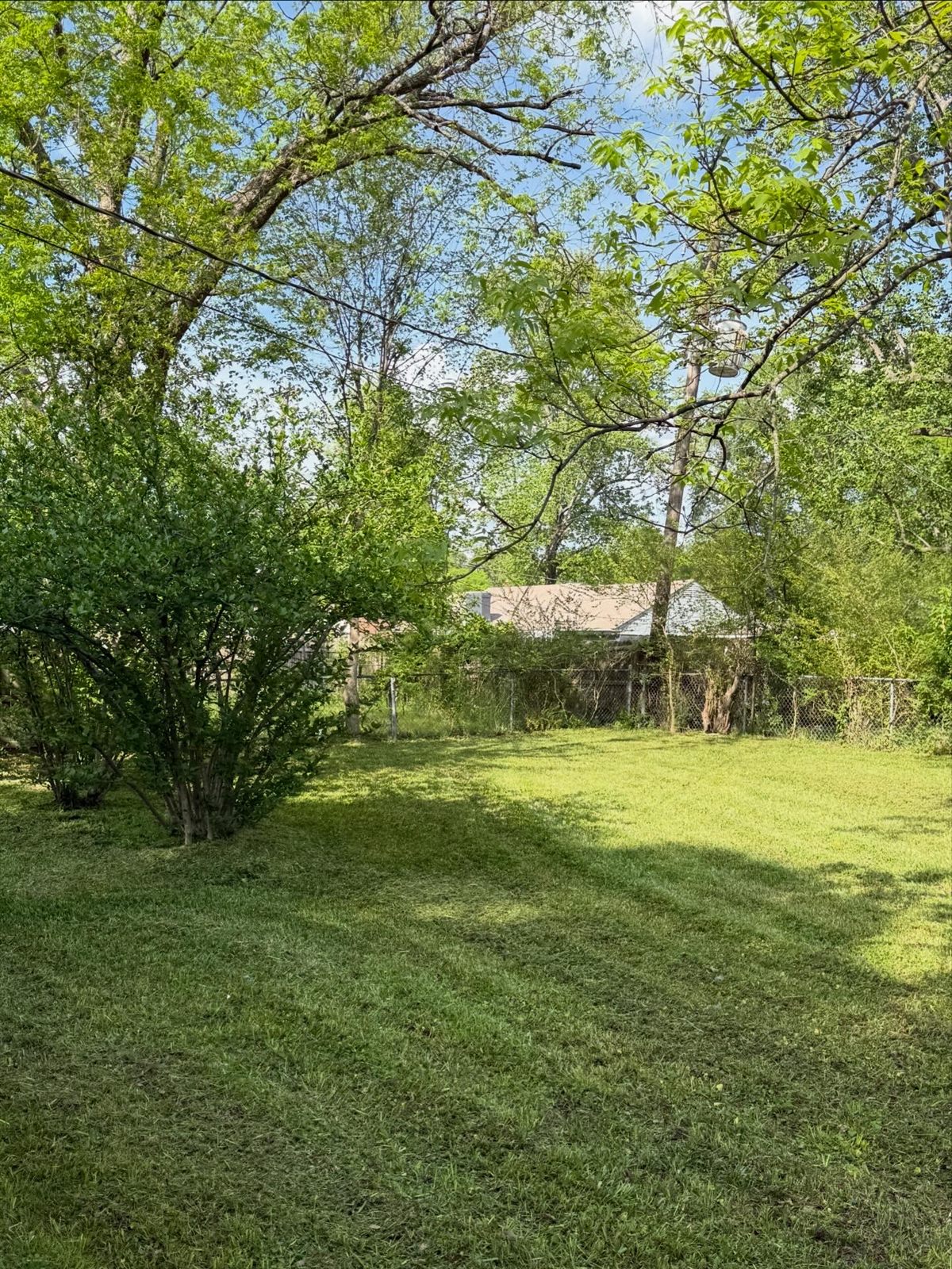 After: Memphis lawn care service results