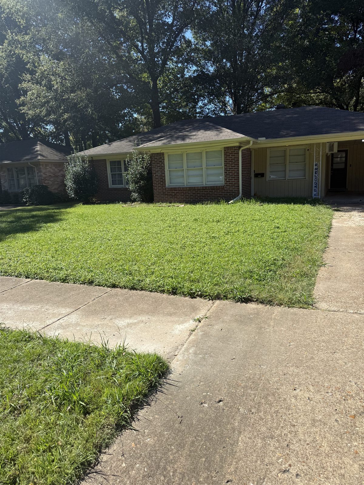 Before: Memphis lawn maintenance service