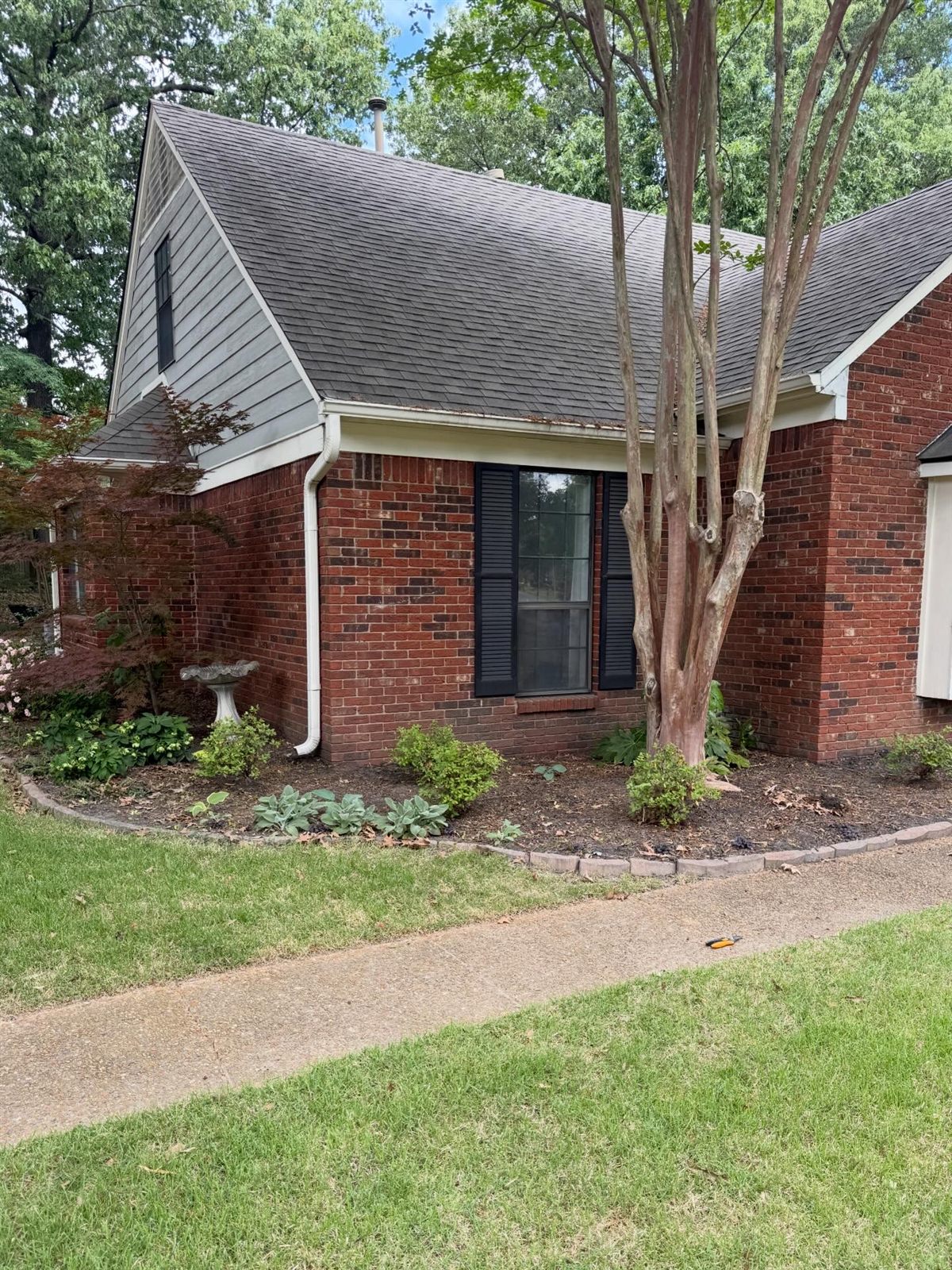 Before: Memphis residential lawn service