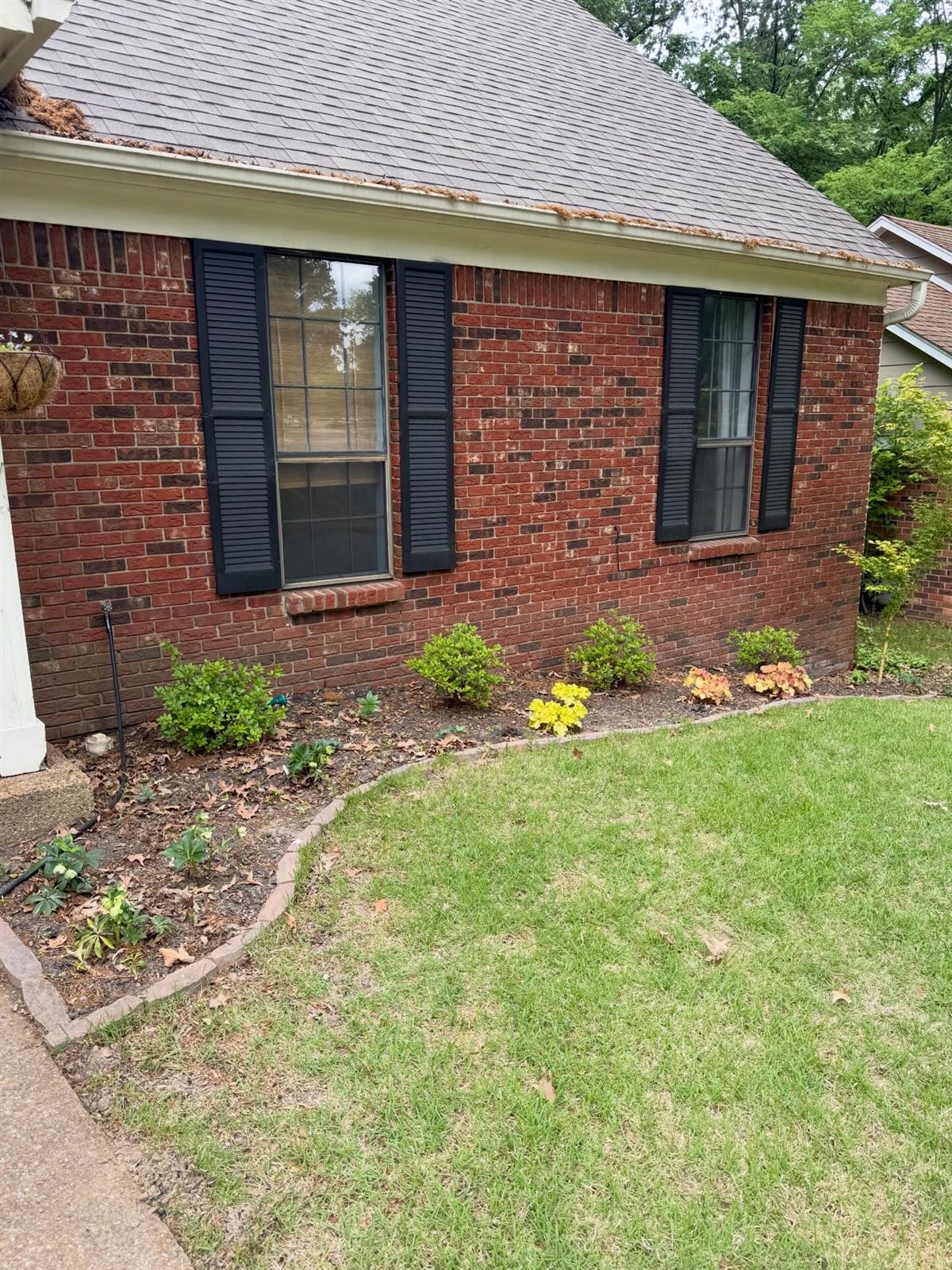 Before: Memphis lawn mowing service