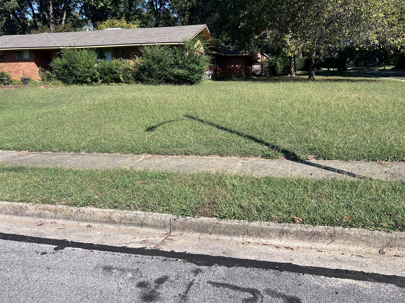 Before: Memphis lawn care and landscaping