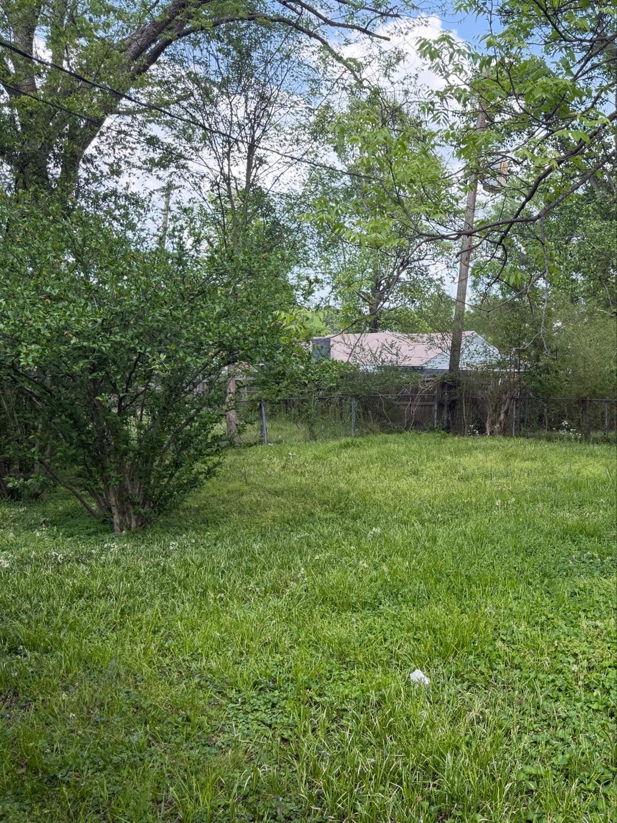 Before: Memphis lawn care, garden bed cleanup
