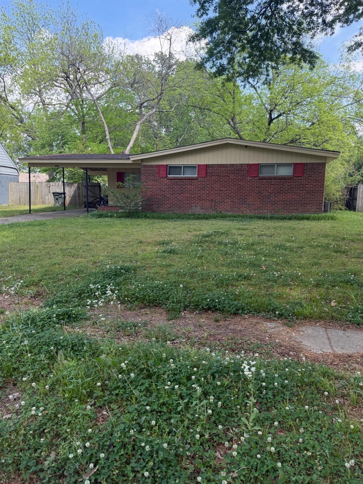 Before: Memphis lawn care service