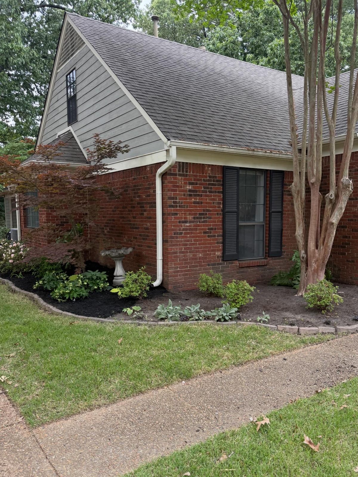 During: Memphis lawn care in progress