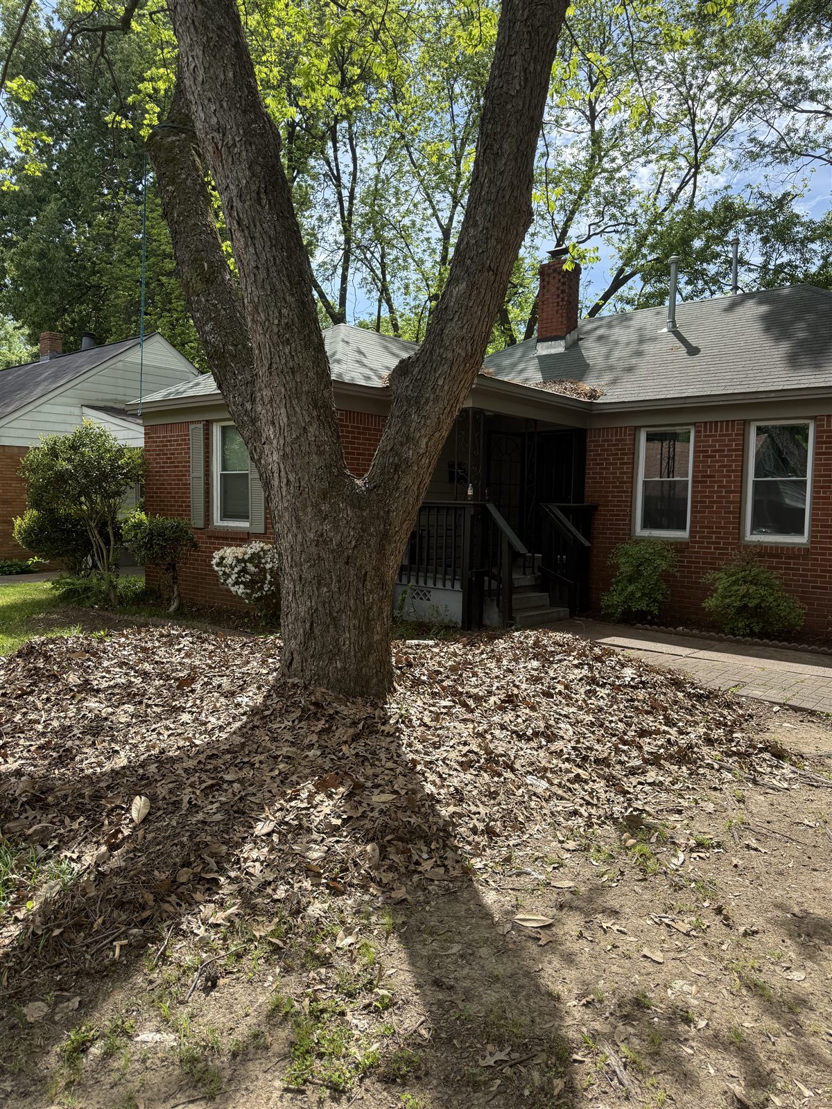Before: Memphis property maintenance service