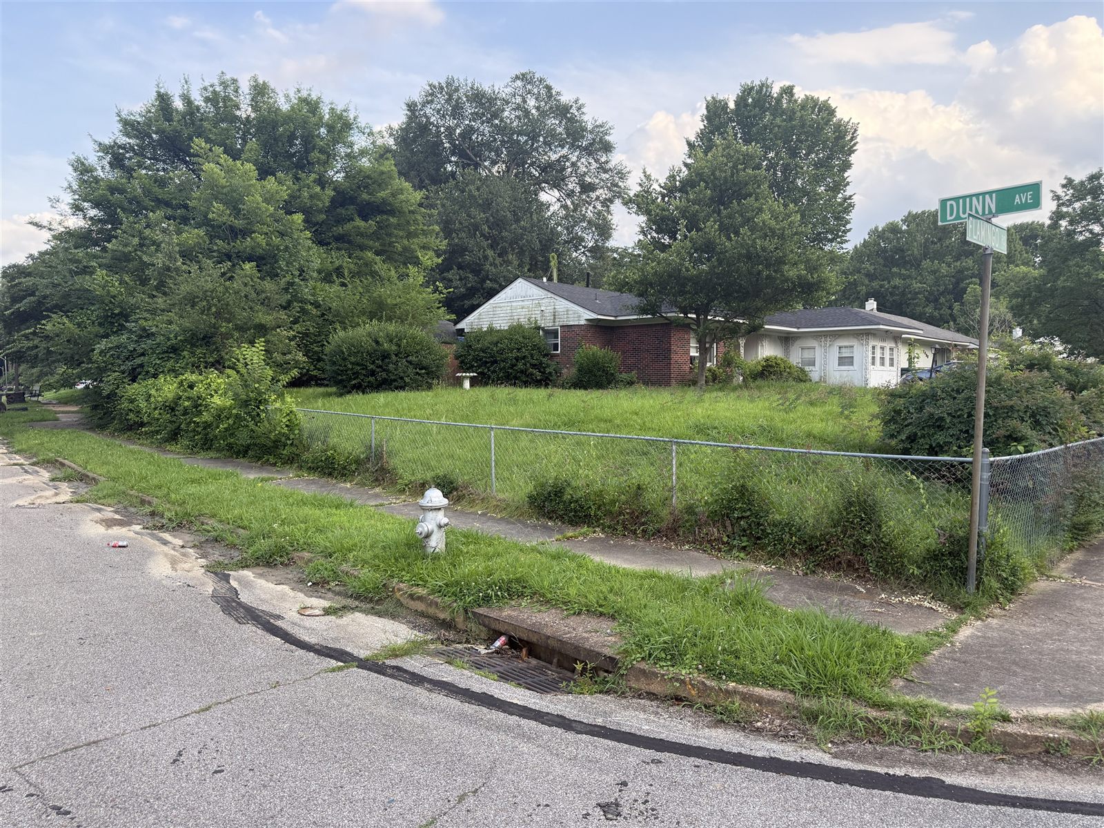 Before: Irene property